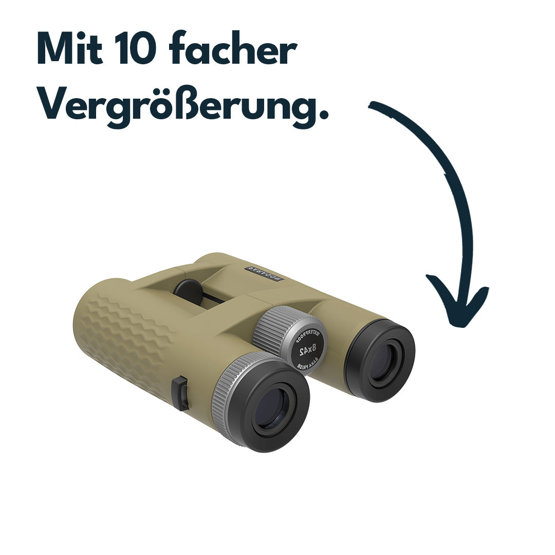 Vector Optics SCBO-13 Paragon 10x42